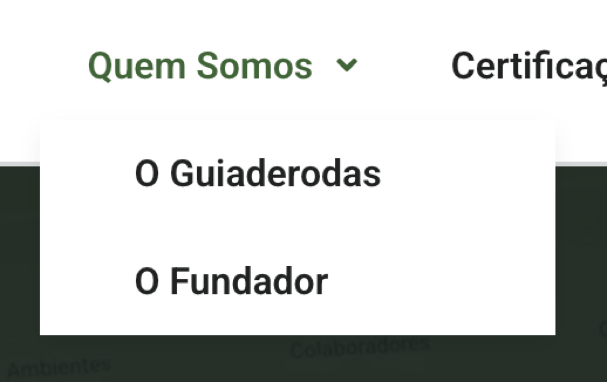 Print de referência 1