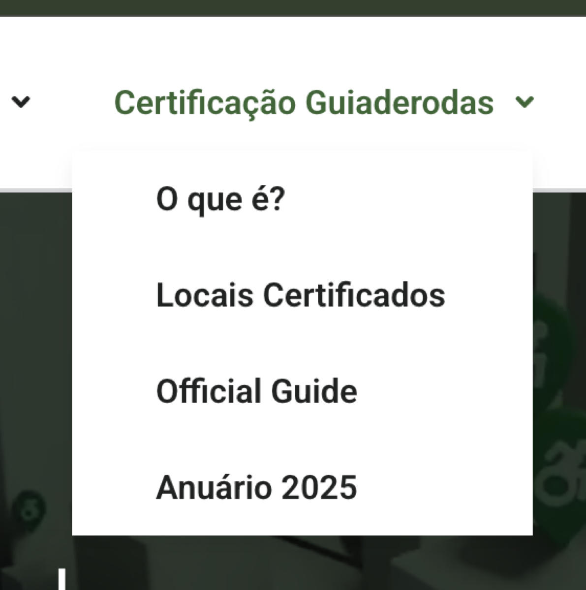 Print de referência 2
