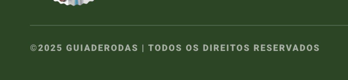 Print de referência 15